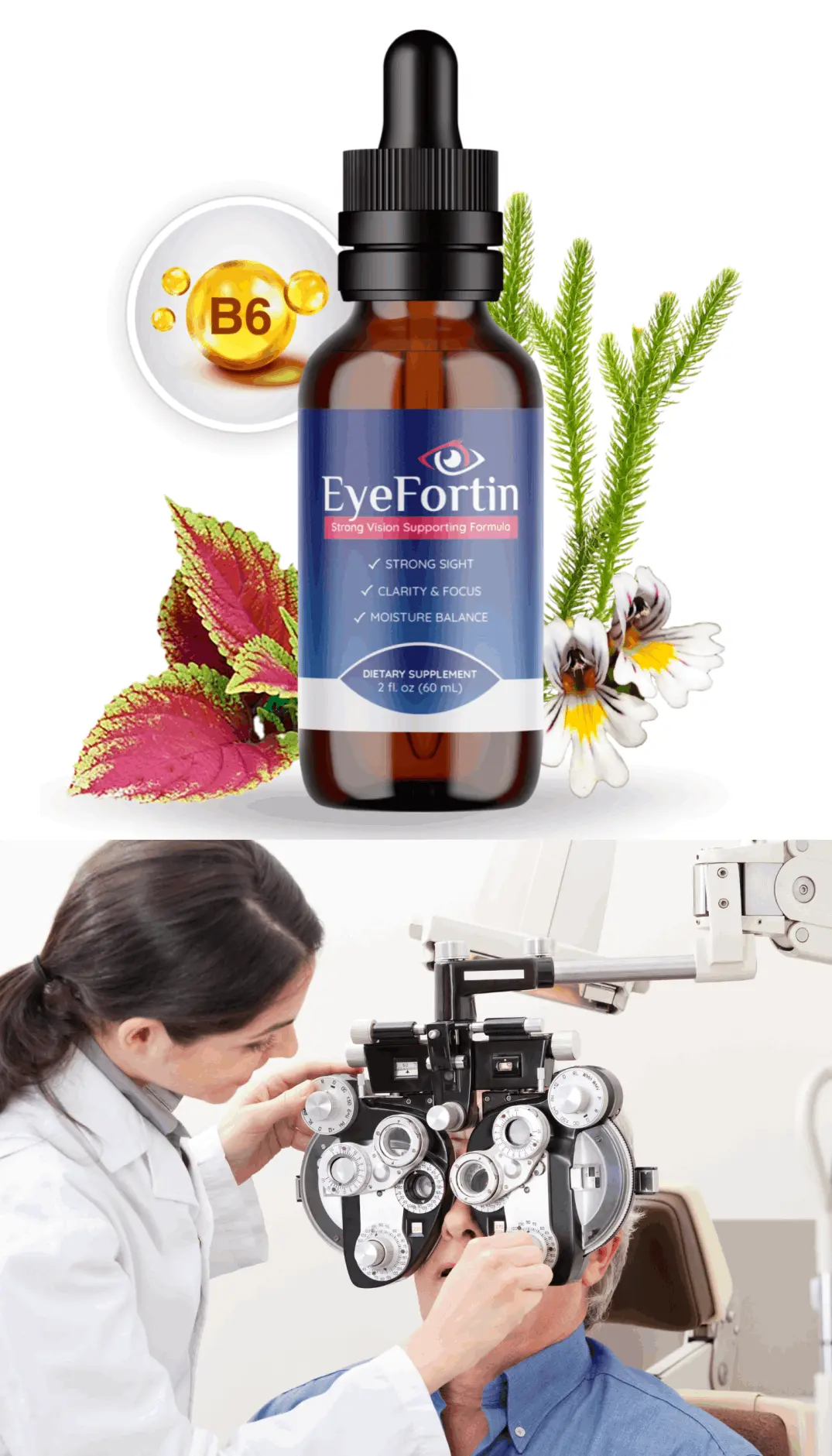 eyefortin supplement